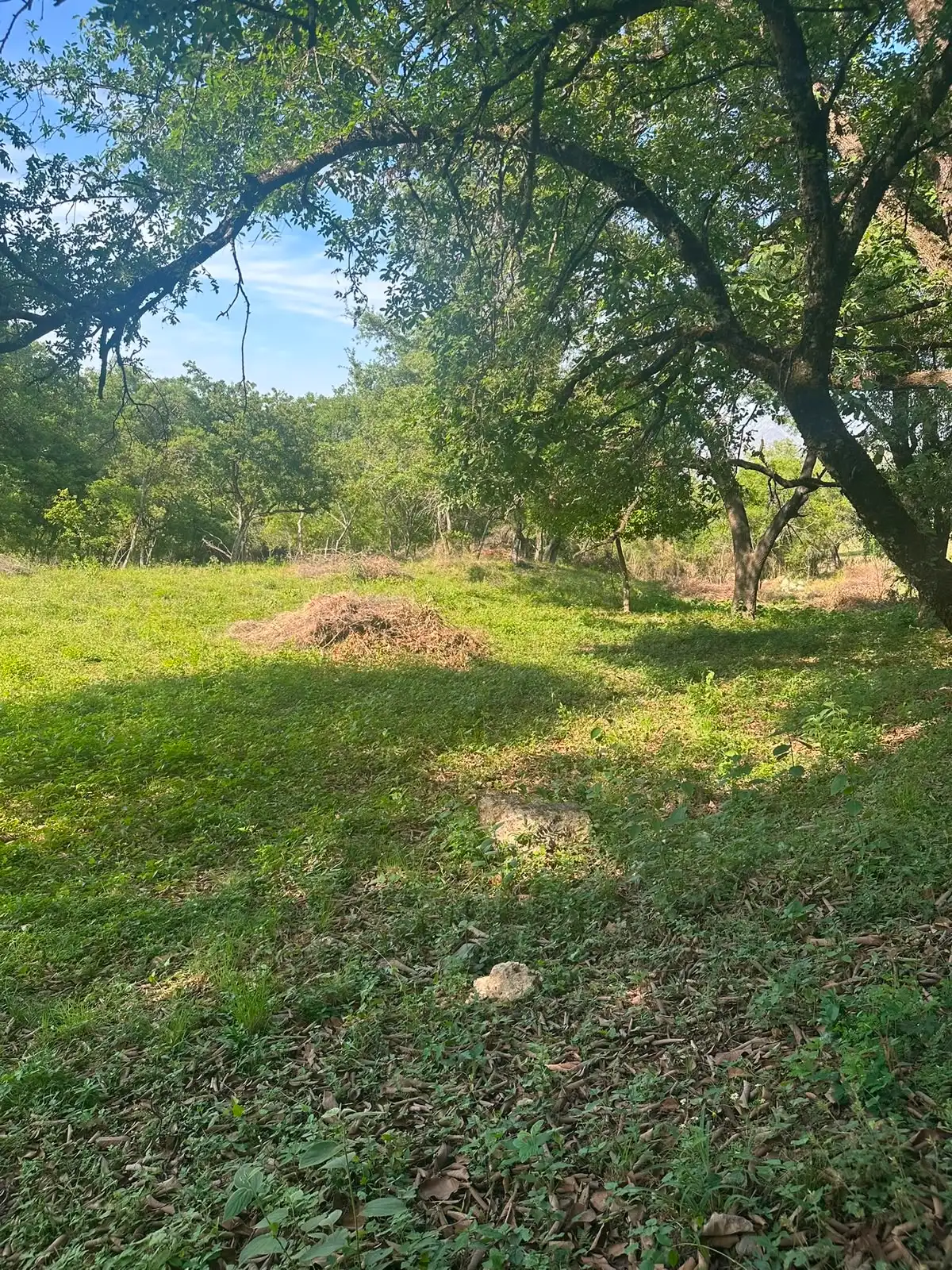 Foto 2 de Venta de terreno, El Barrial.