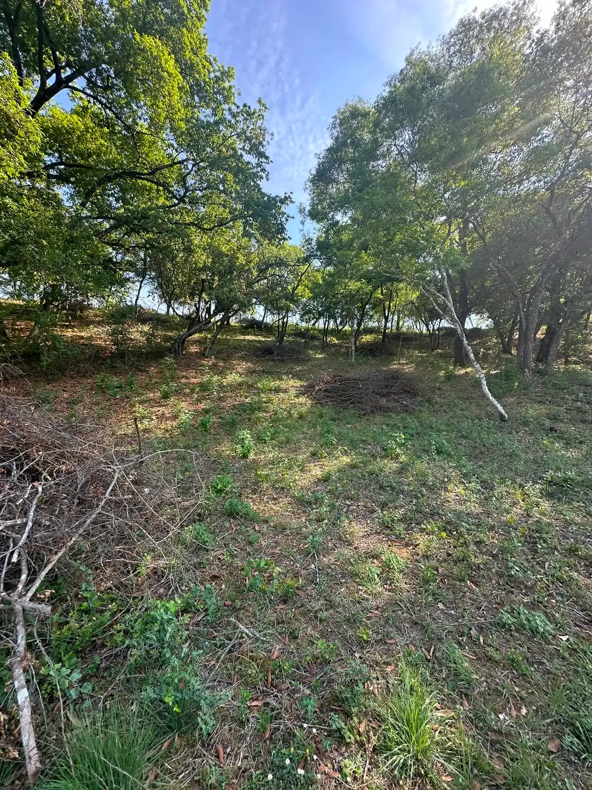 Foto 3 de Venta de terreno, El Barrial.