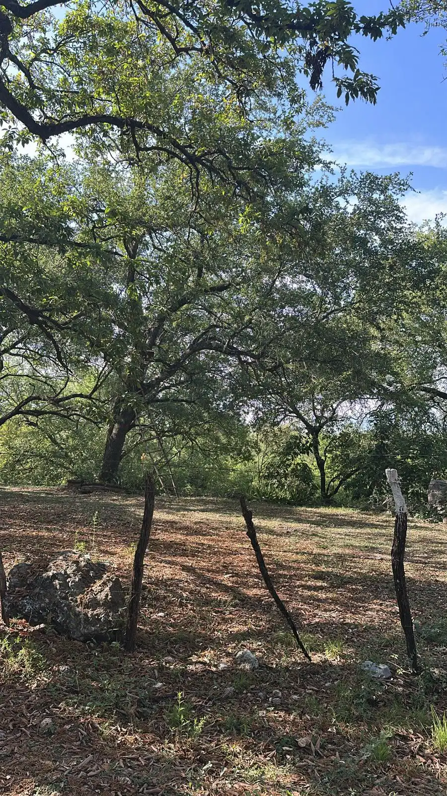 Foto 4 de Venta de terreno, El Barrial.