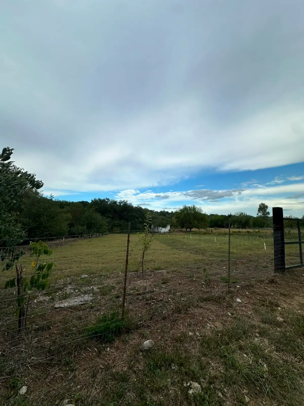 Terreno en venta, Montemorelos a metros de la entrada Mil Encinos