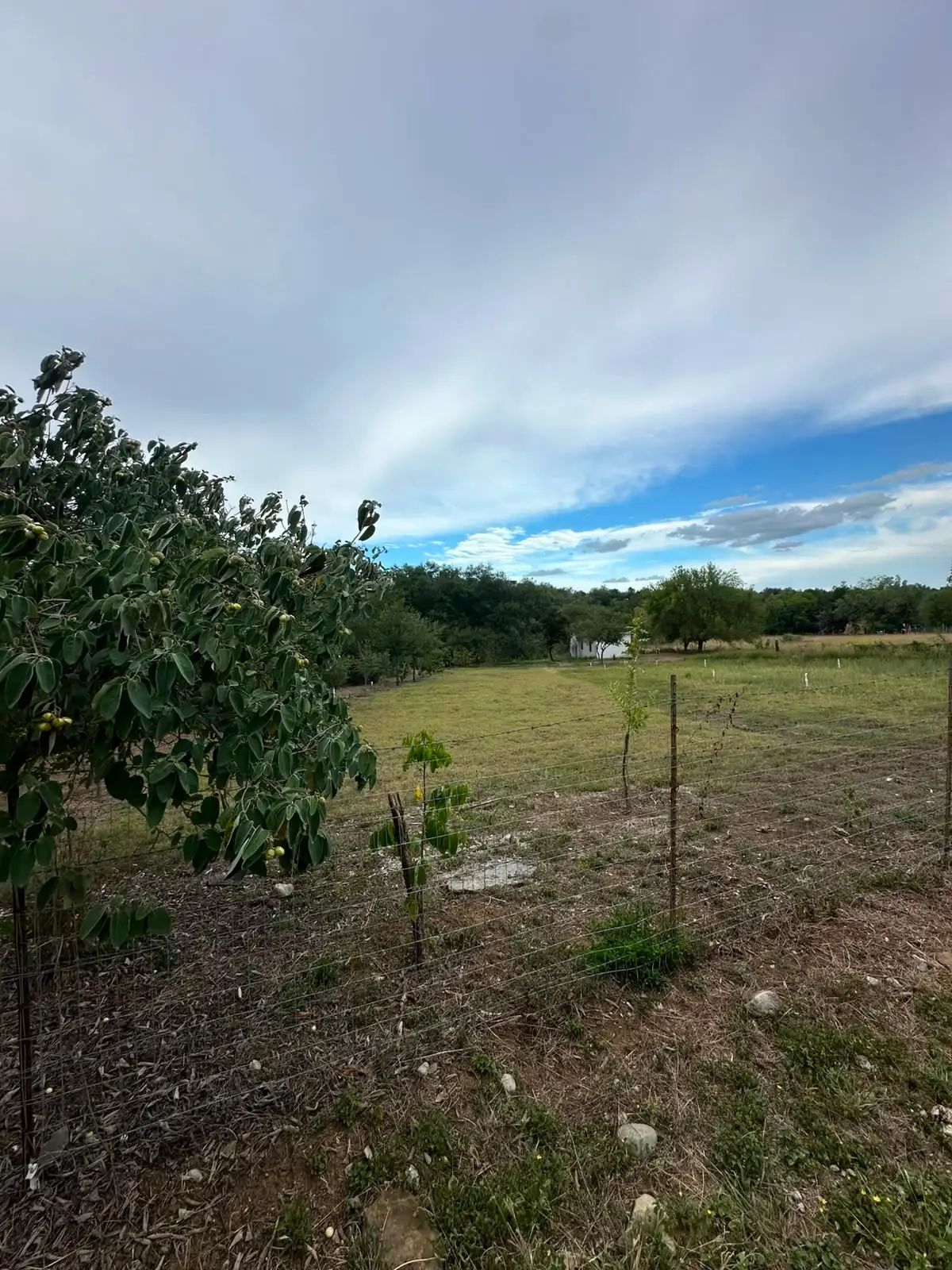 Foto 2 de Terreno en venta, Montemorelos a metros de la entrada Mil Encinos