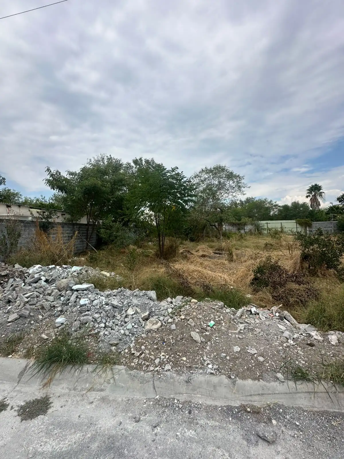 Foto 4 de Terreno en venta Juárez